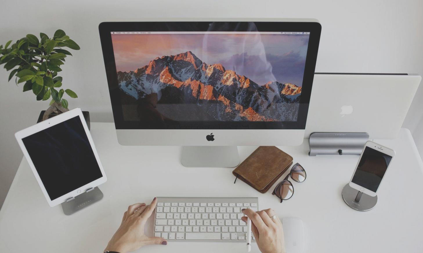 Ingrédients naturels pour soins capillaires